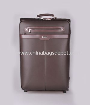 Leather Luggage