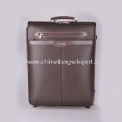 Leather Luggage images