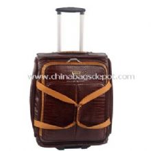 Leather luggage images