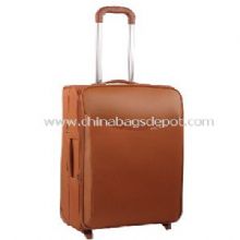 Leather Luggages images