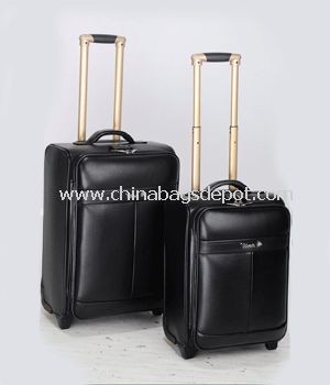 Leather luggage set