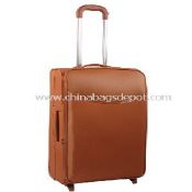 Bagages en cuir images