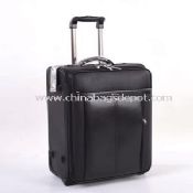 Leather Luggages images