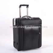 Bagages en cuir images