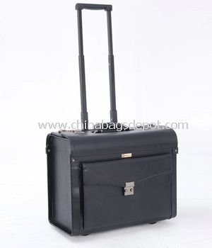 Wheeled aviation case