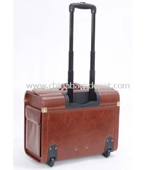 Wheeled aviation case