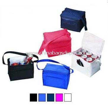 Can cooler bag