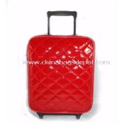 External Luggage images