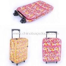 Foldable External Luggage images