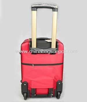 External Luggages