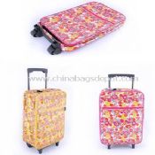 Foldable External Luggage images