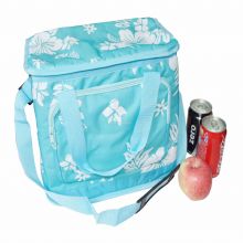 Large cooler bag images