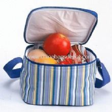 printed Fabric/ PVC film lining Cooler bag images