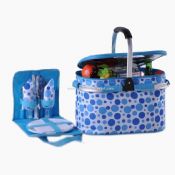 Picnic market cooler bag images