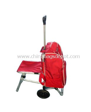 Foldable trolley bags