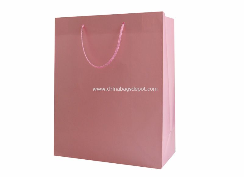 Paper Shopping bag