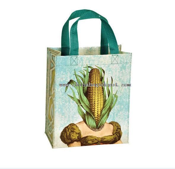 Canvas shopping bag