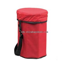 12-can carrying cooler bag images