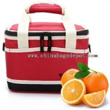 Can Cooler Bag images