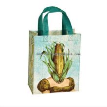 Canvas shopping bag images