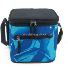 Lunch cooler bag images