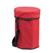 12-can carrying cooler bag images