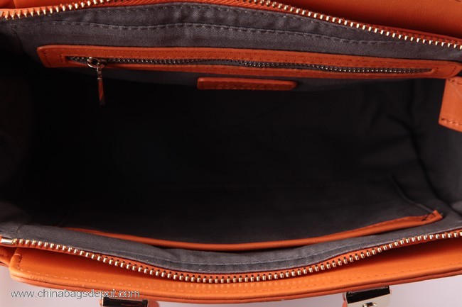 Bag with Long Shoulder Strap