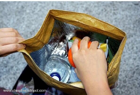  Paper Cooler bag