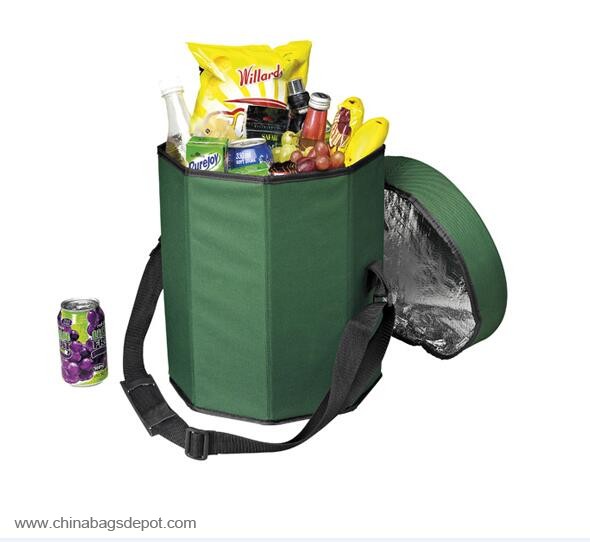 12-can carrying cooler bag